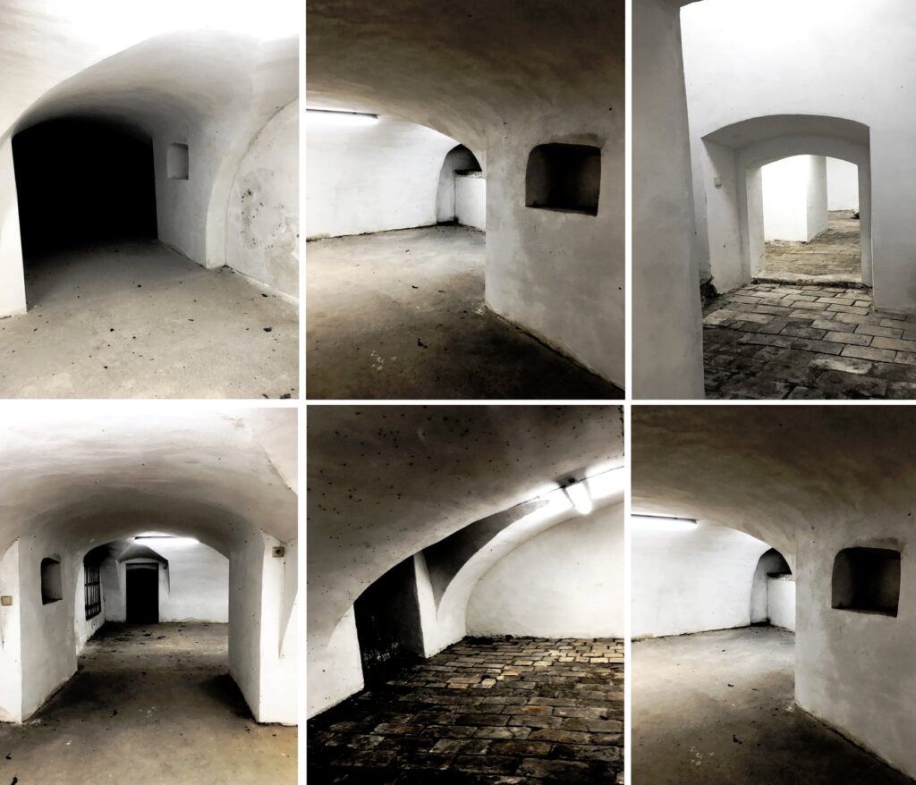 Zestaw sześciu fotografii pokazujących wnętrza fragmentów stuletnich piwnic pod naszym Ośrodkiem.
