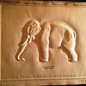 Próbna tyflografika Martina Kunza przedstawiająca słonia