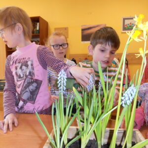 Dzieci oglądają kwiaty wyhodowane podczas zajęć