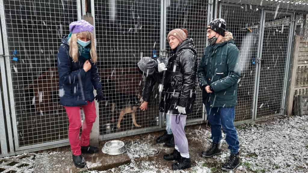 Przy klatkach z psami znajdują się trzy osoby. Od tewej: p. Marlena, Martyna, Dominik. Zdjęcie zrobione podczas śniegowej pogody.