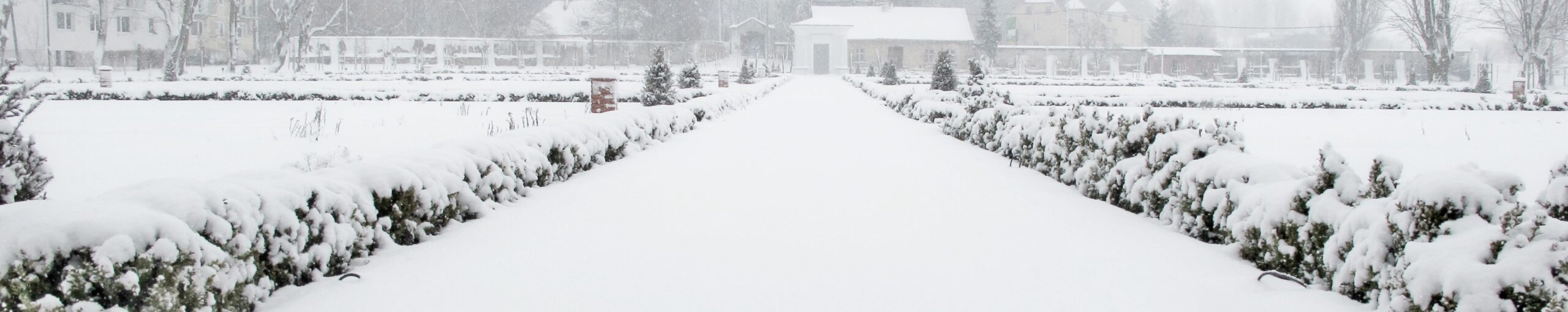 Widok zaśnieżonej głównej aleji ogrodu barokowego.
