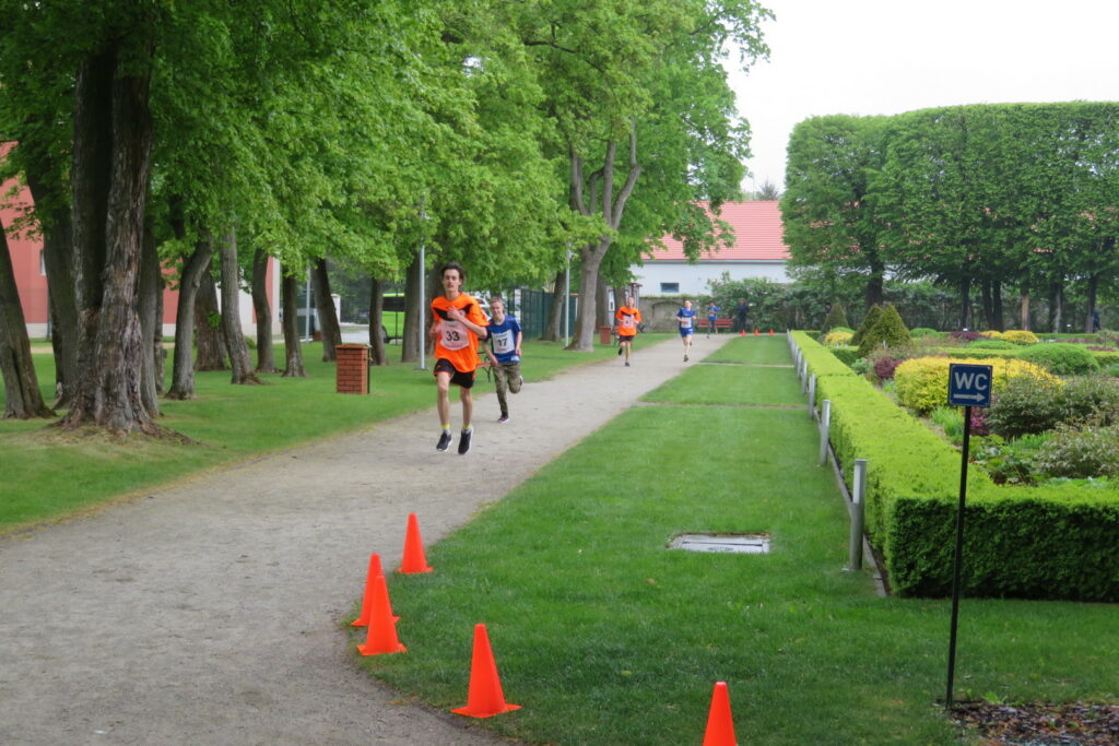 na tle alejki otoczonej zielenią biegną uczestnicy zawodów w biegu długodystansowym.