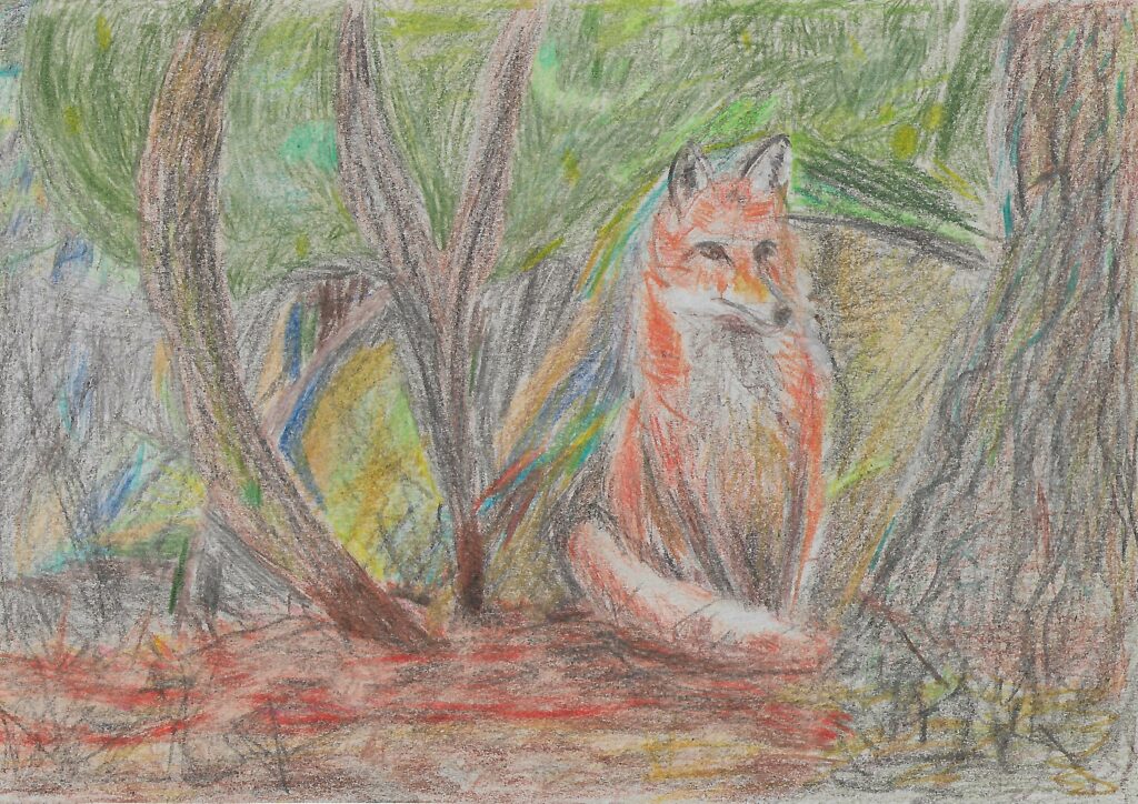 Obrazek wykonany pastelami przedstawia siedzącego lisa w lesie.